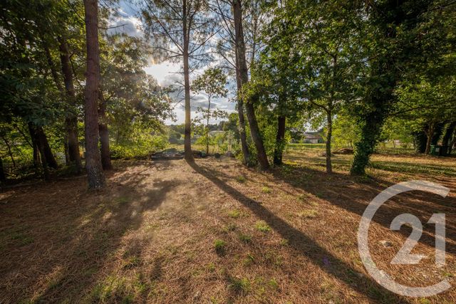 terrain à vendre - 770.0 m2 - ST AUBIN DE MEDOC - 33 - AQUITAINE - Century 21 Kadima