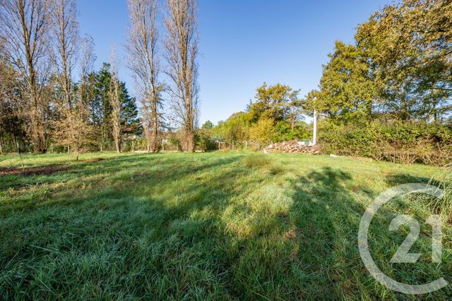 terrain - LE TAILLAN MEDOC - 33